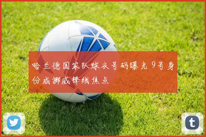 哈兰德国家队球衣号码曝光 9号身份成挪威锋线焦点